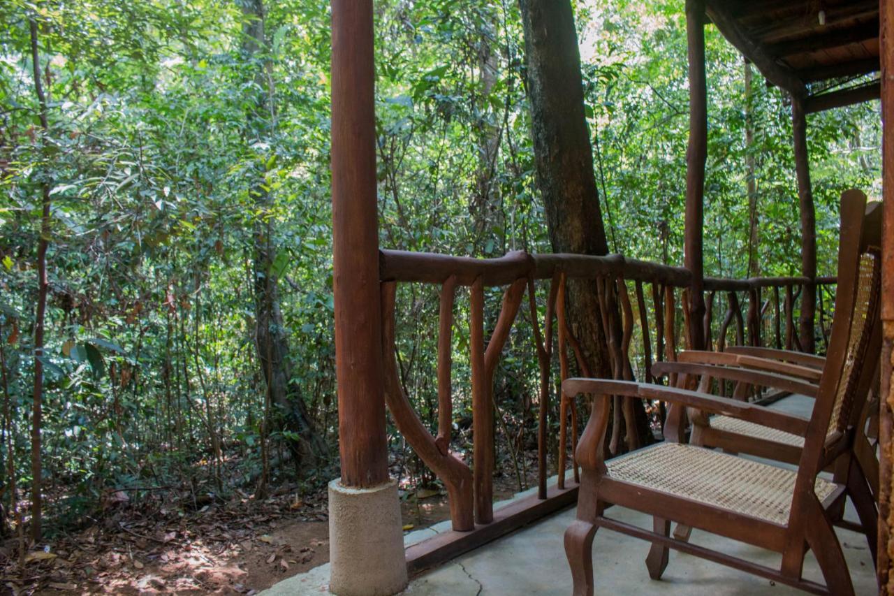 Jungle River Ginigathena Exterior foto